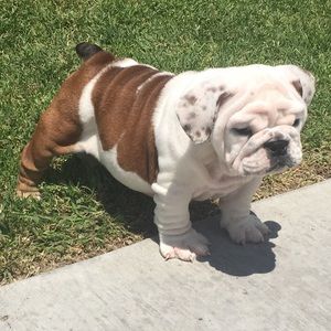 Meet your Posher, Diana