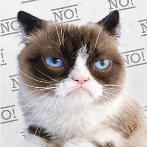 Meet your Posher, Charlotte