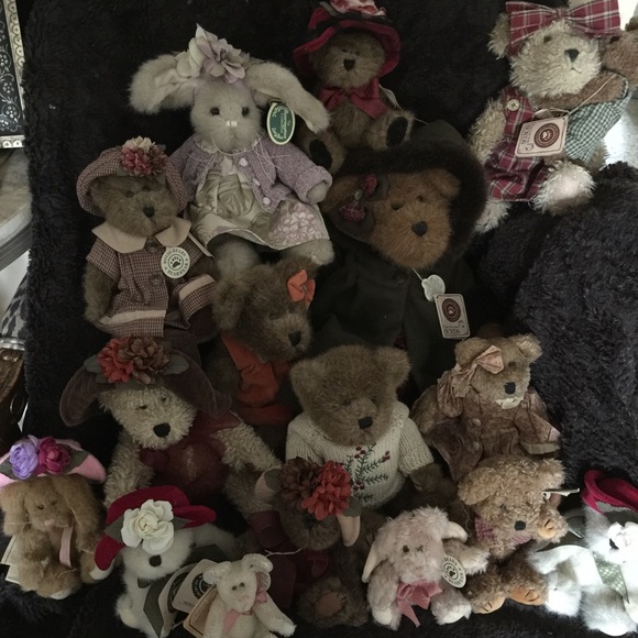 Boyd bears