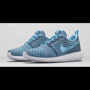 Blue Flyknit Roshes