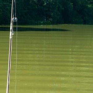 Meet your Posher, Carla