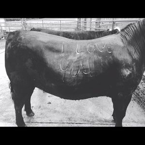 Meet your Posher, Olivia