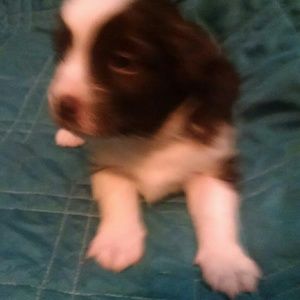 Meet your Posher, Donnie