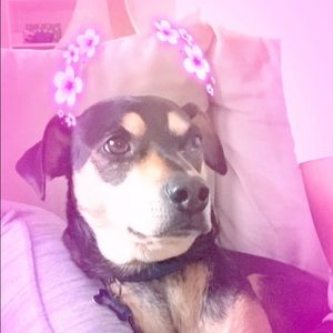 Meet your Posher, Yasmine