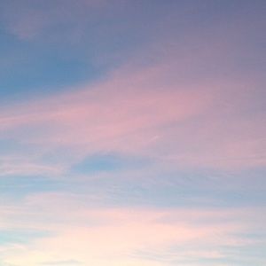 Meet your Posher, Madie