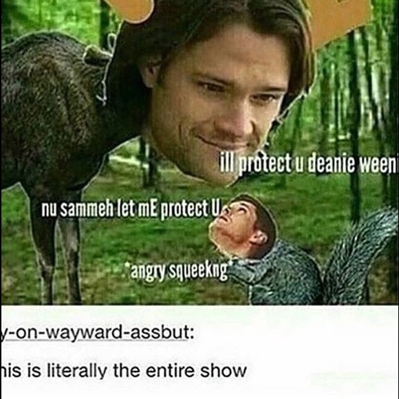 ey yo whaddup - Picture 2 of 4