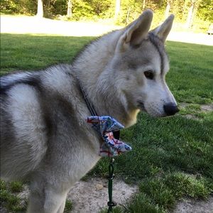 Meet your Posher, Renee