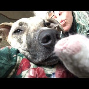 Meet your Posher, Barbara