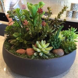 Meet your Posher, Gigi