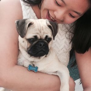 Meet your Posher, Joyce lt