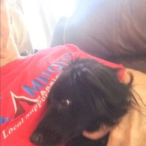 Meet your Posher, Tammy