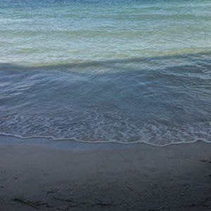 Meet your Posher, Kara