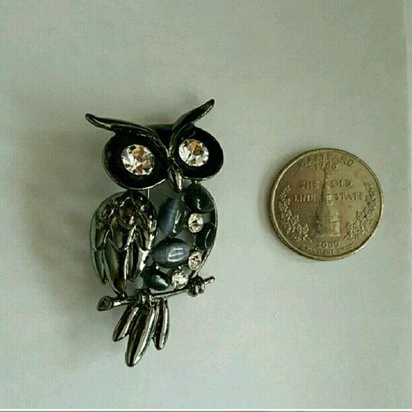 🚫GIFTED 🚫: Costume jewelry owl - Picture 4 of 4