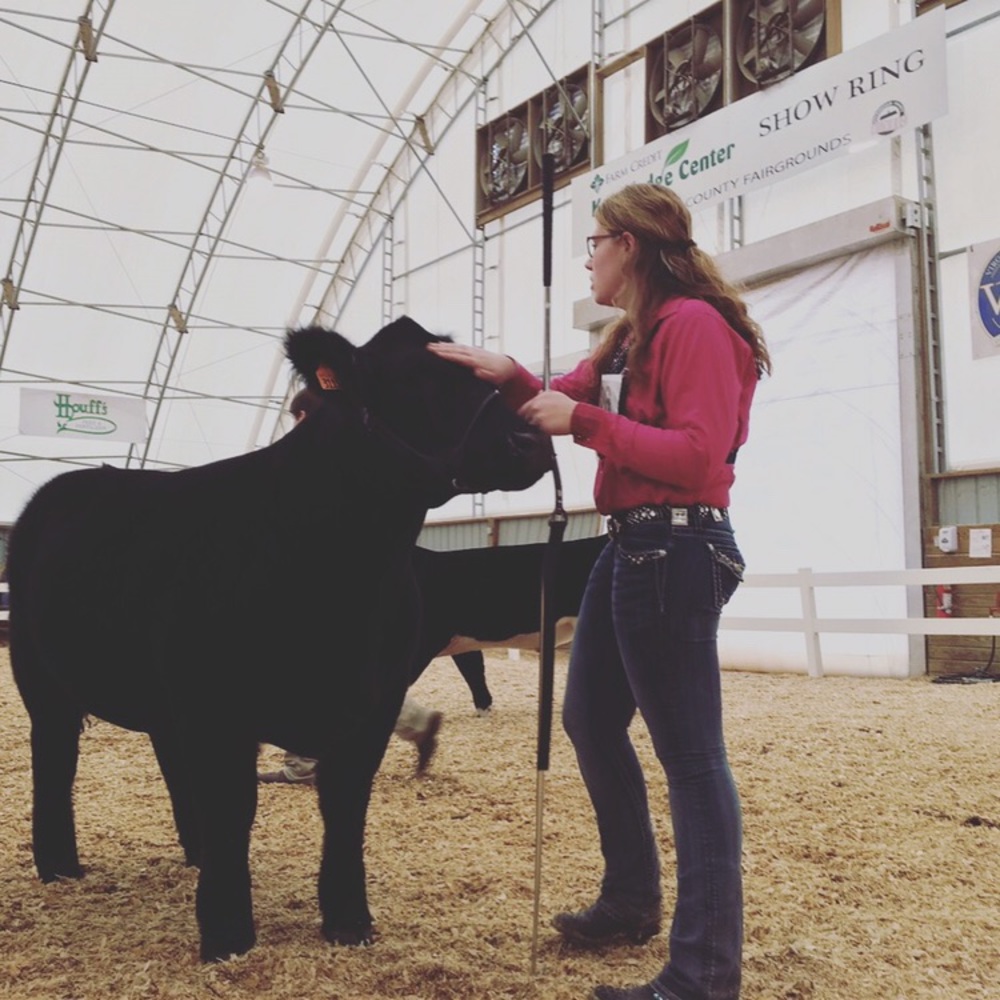 Meet your Posher, Mckenzy