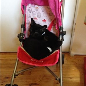 Meet your Posher, Miyoko