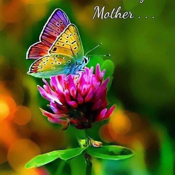 Meet your Posher, Kristina - Picture 1 of 1