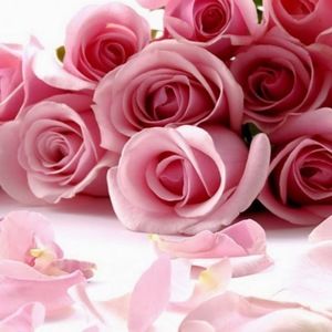 Meet your Posher, Teresa