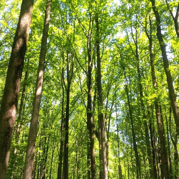 Meet your Posher, Maria - Picture 2 of 8