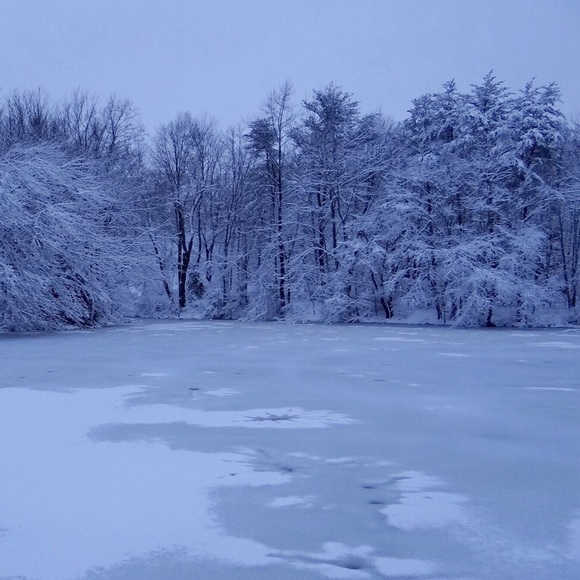 Meet your Posher, Maria - Picture 4 of 8