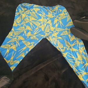Sparrow leggings!