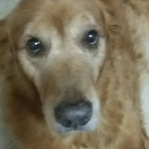 Meet your Posher, Juan