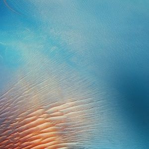 Meet your Posher, Cecilia