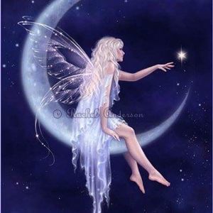 Meet your Posher, Dottie