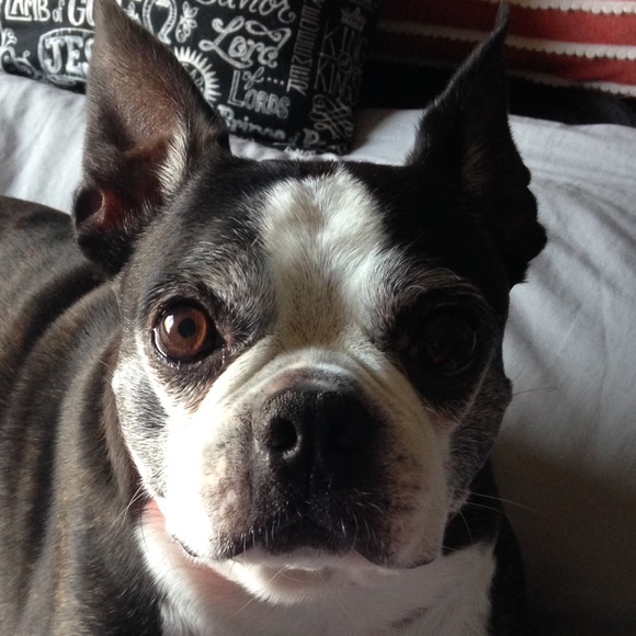 Meet your Posher, Hannah