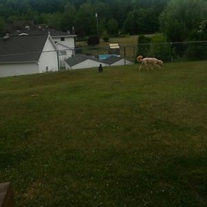 Meet your Posher, Diane