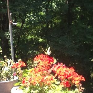 Meet your Posher, Maryann