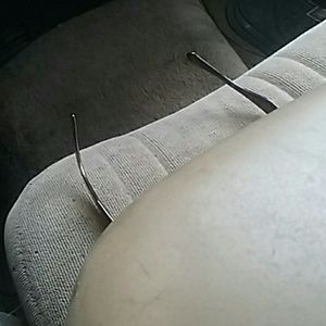 Meet your Posher, Ben