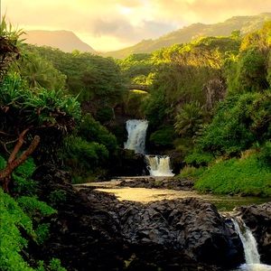 Meet your Posher, Kaley