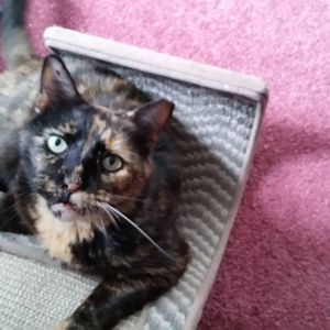 Meet your Posher, Lynne