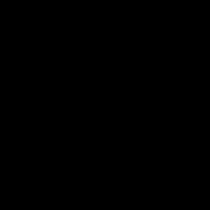 Meet your Posher, Irene