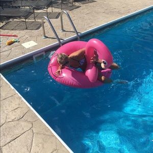 Meet your Posher, Allie