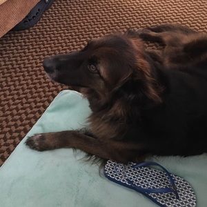 Meet your Posher, Jane