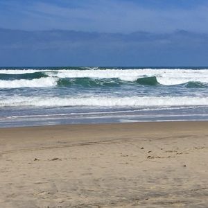 Meet your Posher, Kay