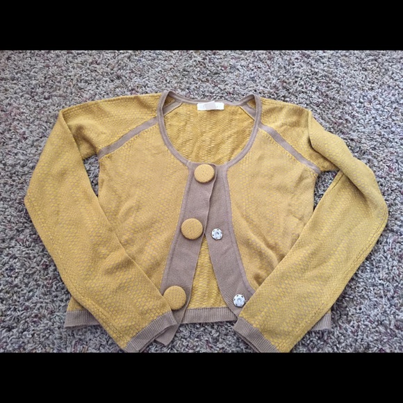 Cardigan sweater