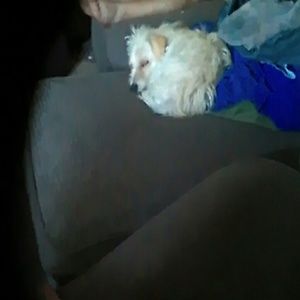 Meet your Posher, Chris