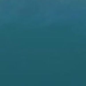 Meet your Posher, King