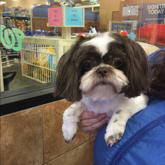 Meet your Posher, Gale - Picture 1 of 1