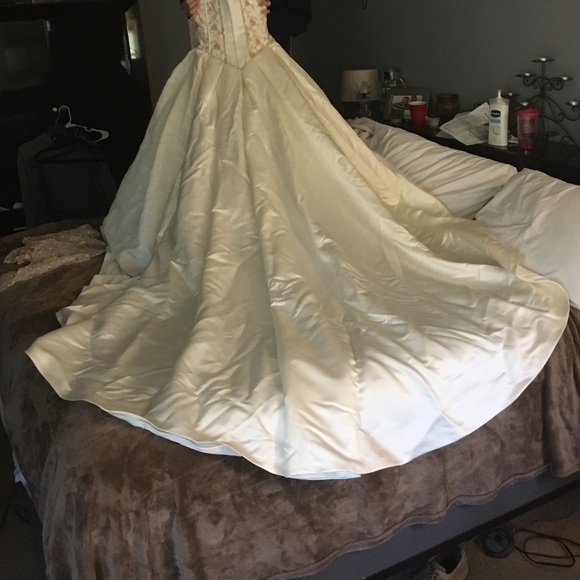 Wedding Dress - Picture 3 of 4