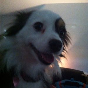 Meet your Posher, Cana