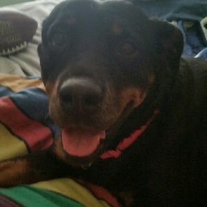 Meet your Posher, Denise