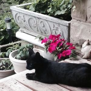 Meet your Posher, Colleen