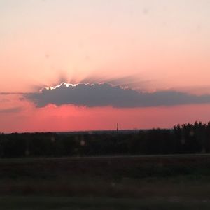 Meet your Posher, Liza