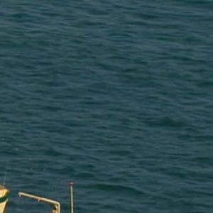 Meet your Posher, Livia