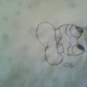 Meet your Posher, Donald