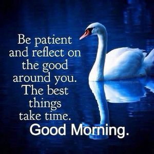 Meet your Posher, Meghana