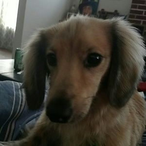 Meet your Posher, Jamie